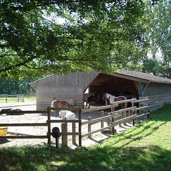 Ferien- und Reiterhof Klein Stavern - Impressionen