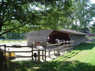 Ferien- und Reiterhof Klein Stavern - Impressionen