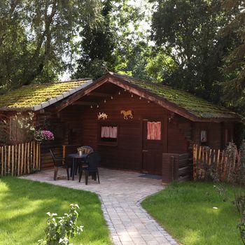 Ferien- und Reiterhof Klein Stavern - Impressionen