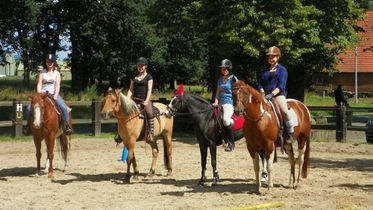 Ferien- und Reiterhof Klein Stavern - Galerie