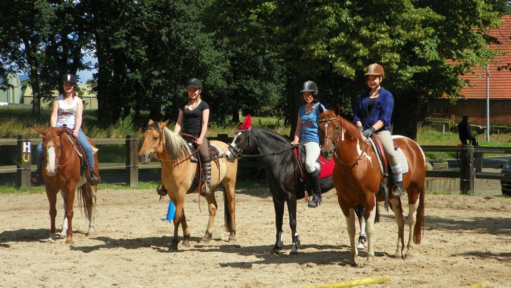 Ferien- und Reiterhof Klein Stavern - Galerie
