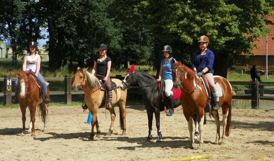 Ferien- und Reiterhof Klein Stavern - Galerie