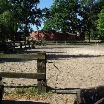 Ferien- und Reiterhof Klein Stavern - Impressionen
