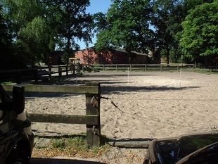 Ferien- und Reiterhof Klein Stavern - Impressionen