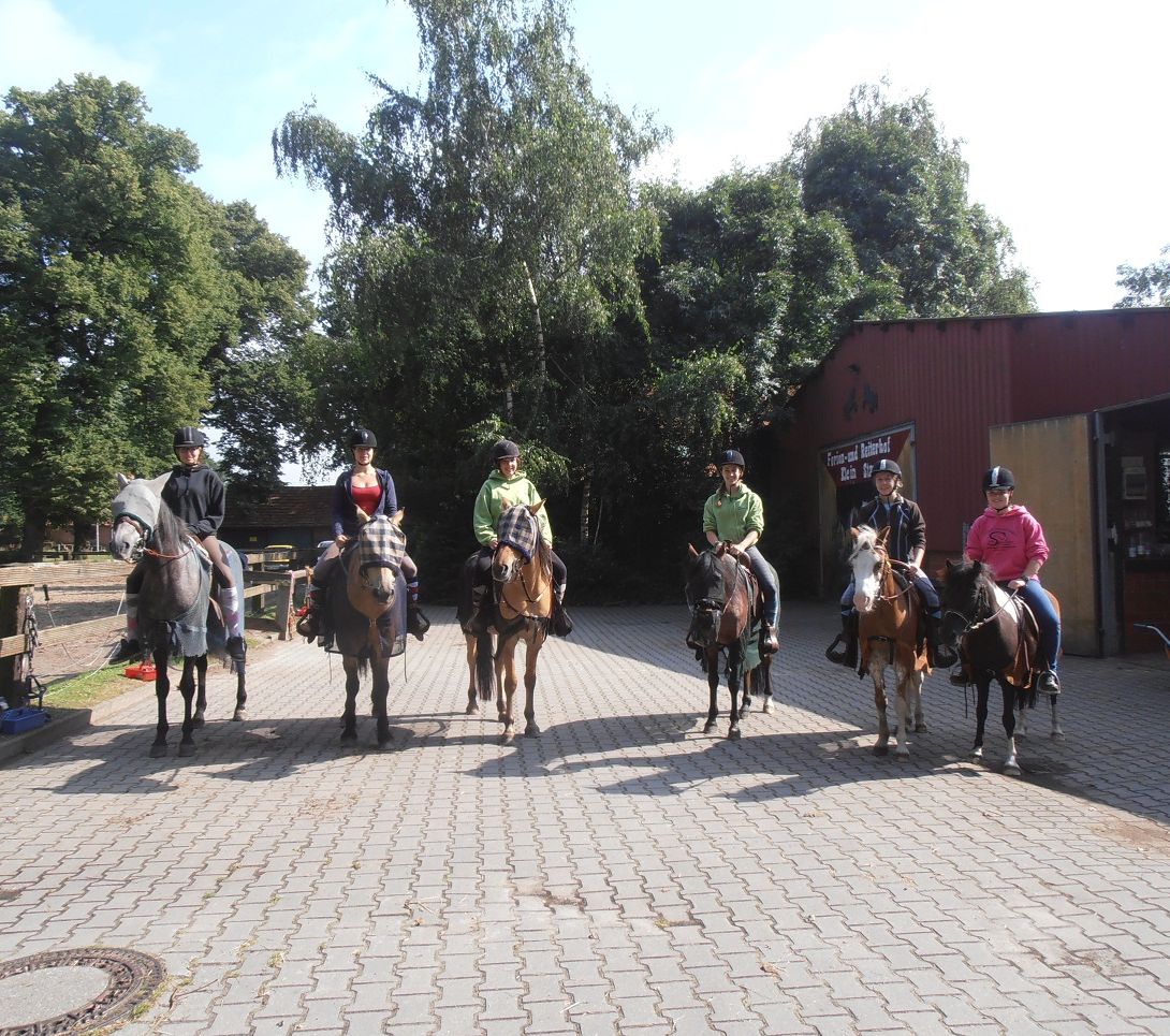 Ferien- und Reiterhof Klein Stavern - Galerie