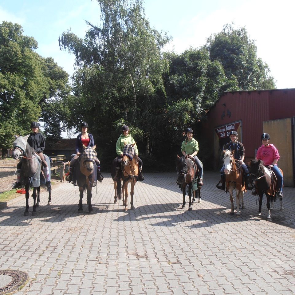 Ferien- und Reiterhof Klein Stavern - Galerie