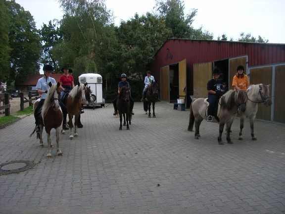 Ferien- und Reiterhof Klein Stavern - Impressionen